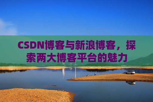 CSDN博客与新浪博客，探索两大博客平台的魅力